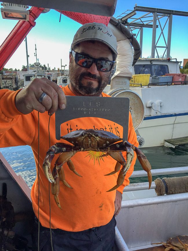 Crabbing And Shrimping San Juan Adventures